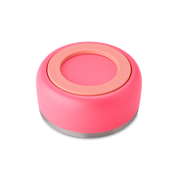 Pet Bowl 24/48oz Stainless Steel - Hyper Flamingo