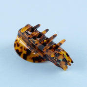 Hair Claw (Bengal Cat)