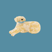 Hair Claw (Labrador)