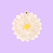 Coucou Suzette Mirror (Daisy)