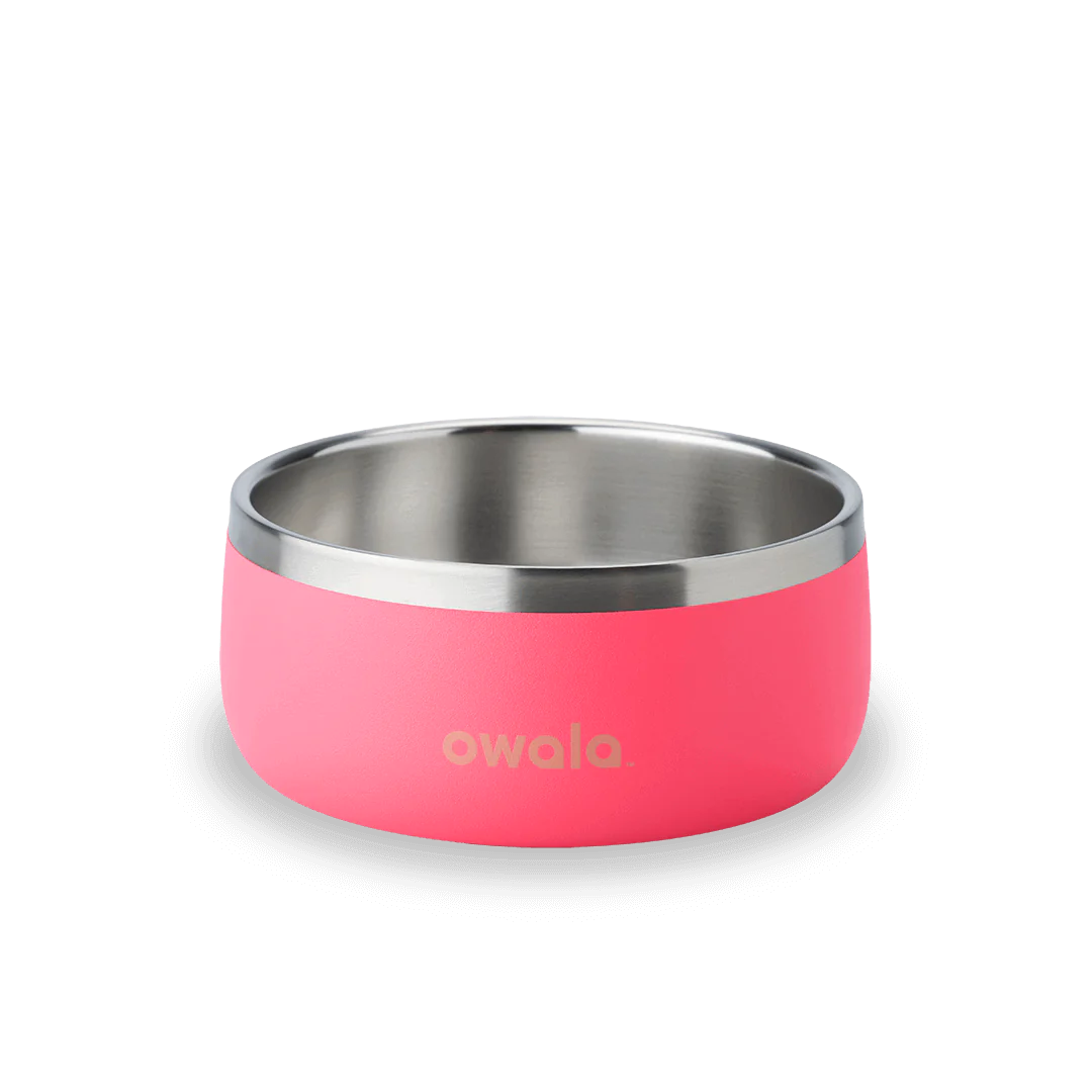 SC_24oz_Hyper_Flamingo-1080x1080-f521e30_fe48e062-7b64-4a90-9577-d4b694933f39.webp
