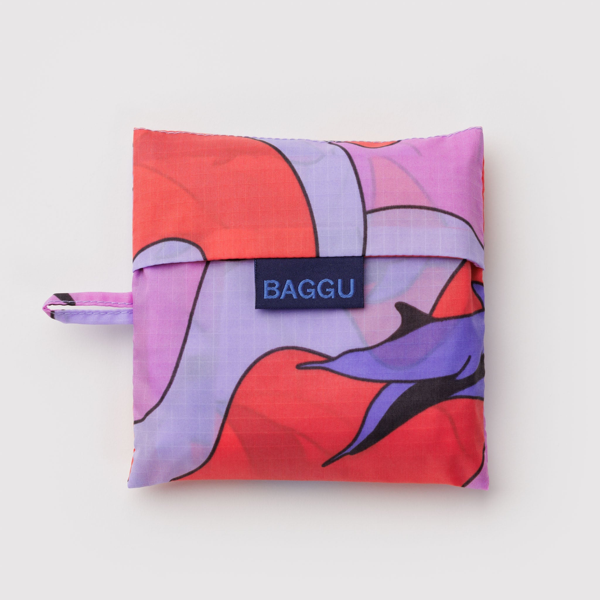 Standard_Baggu_Ripstop_Dolphins_03.jpg