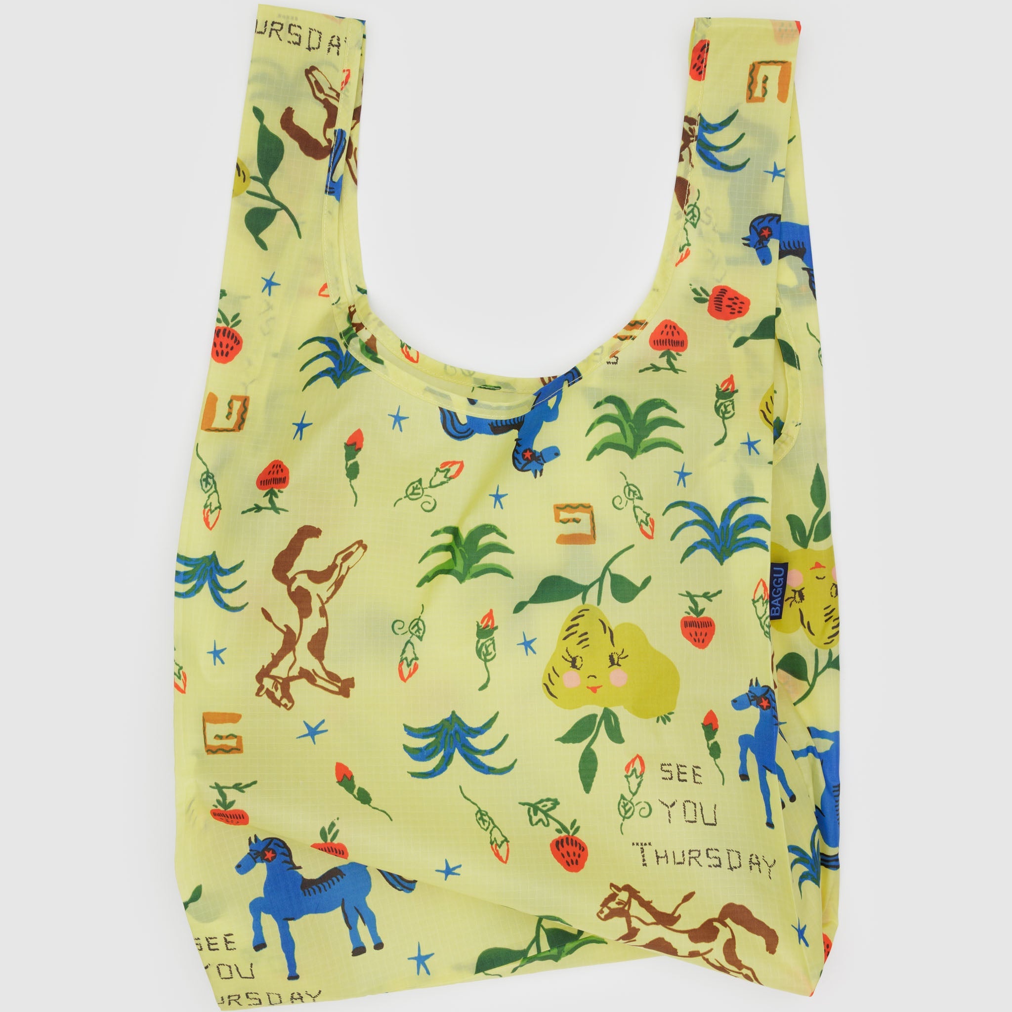 Standard_Baggu_Ripstop_Painted_Prairie_01.jpg