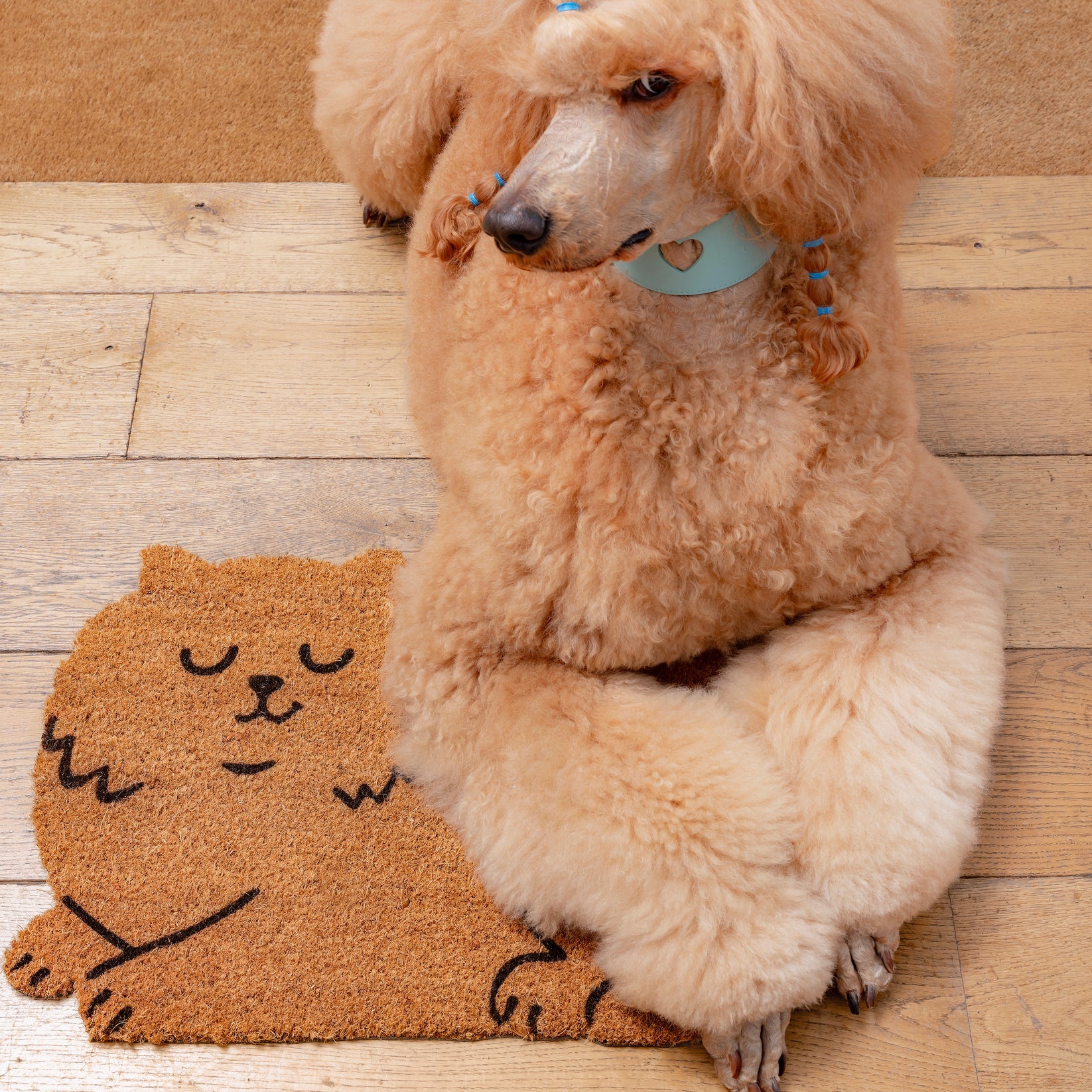 Coucou Suzette Doormat - Cat