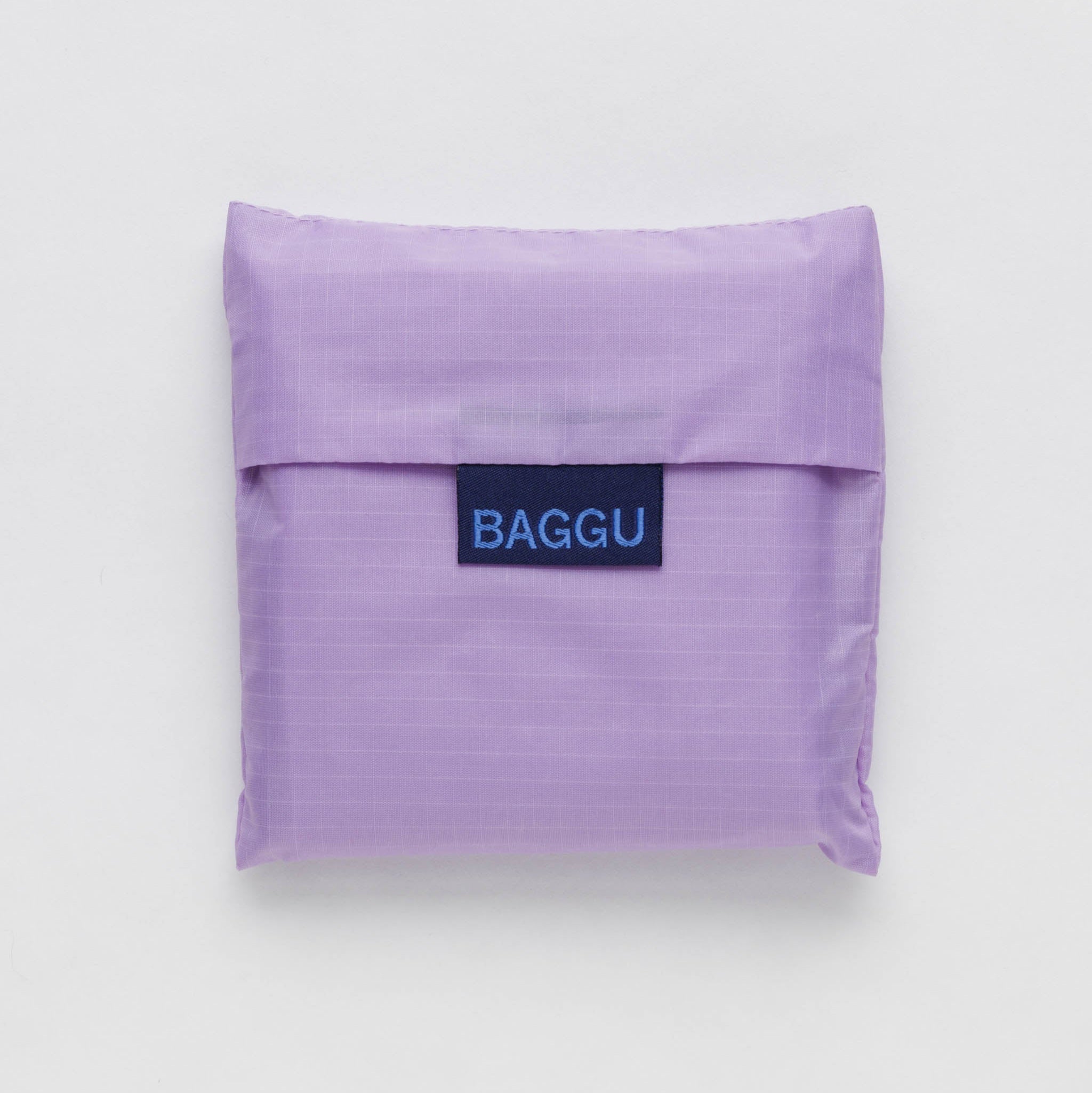 Standard_Baggu_Ripstop_Dusty_Lilac_05.jpg
