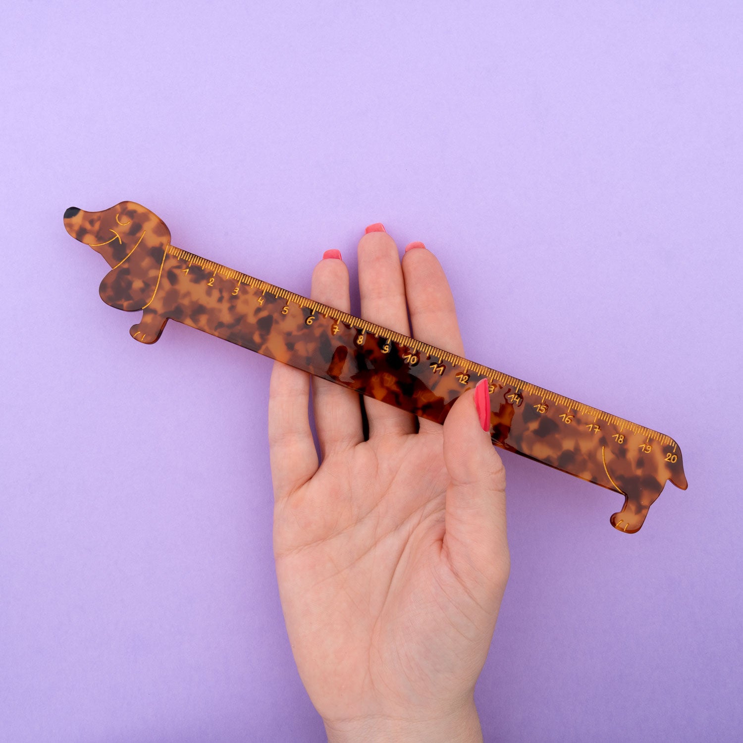 coucou-suzette-dachshund-ruler-fun-school-stationery-cute-acetate-stationery-accessory-sausage-dog-item-regle-chien-teckel-accessoire-bureau-papeterie-2-web.jpg